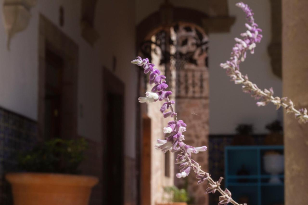 Nana Vida Hotel Morelia Eksteriør bilde